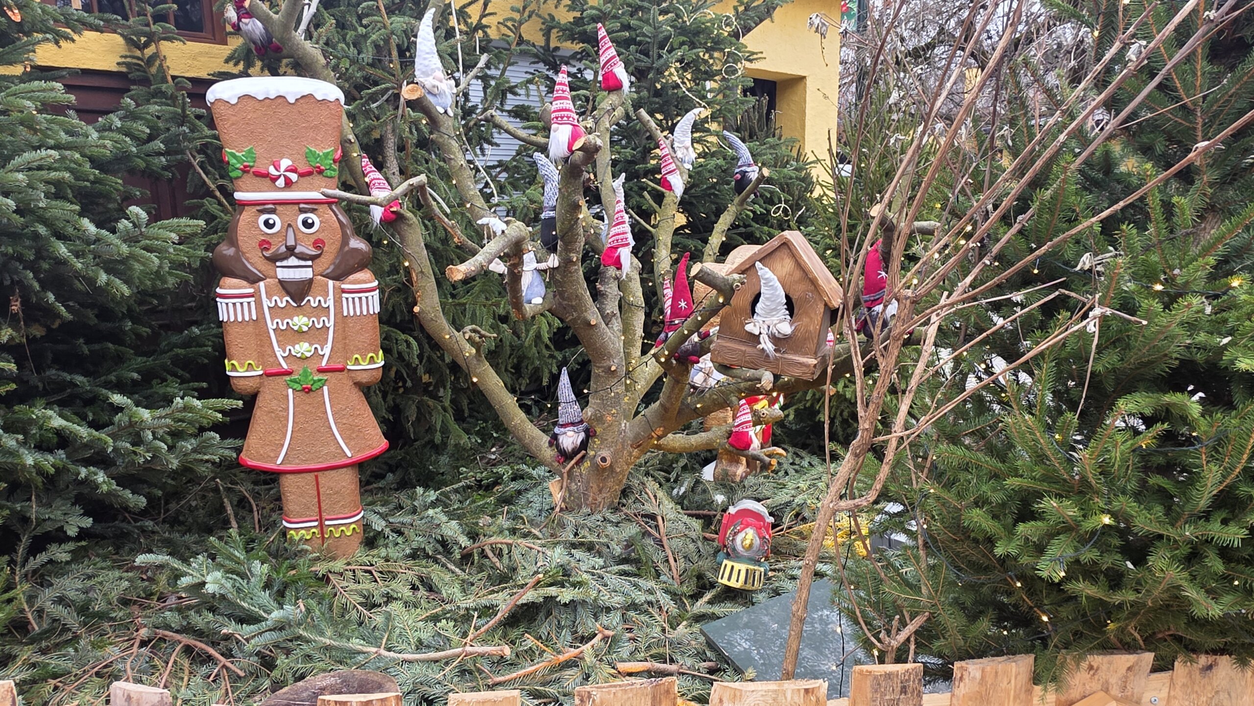 Weihnachtsmärkte  2026, Termine im Allgäu