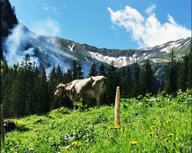 Das Allgäu ist die südliche Grenze Bayerns.
